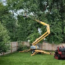 Reliable South River, NJ Tree Removal Solutions