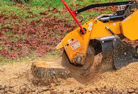 Best Firewood Processing and Delivery  in South River, NJ