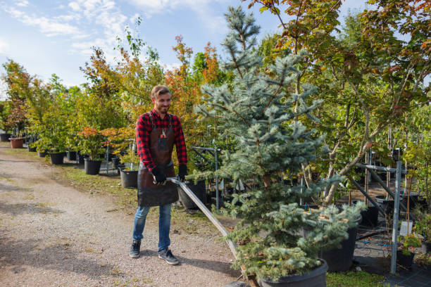 Best Lawn Watering Services  in South River, NJ